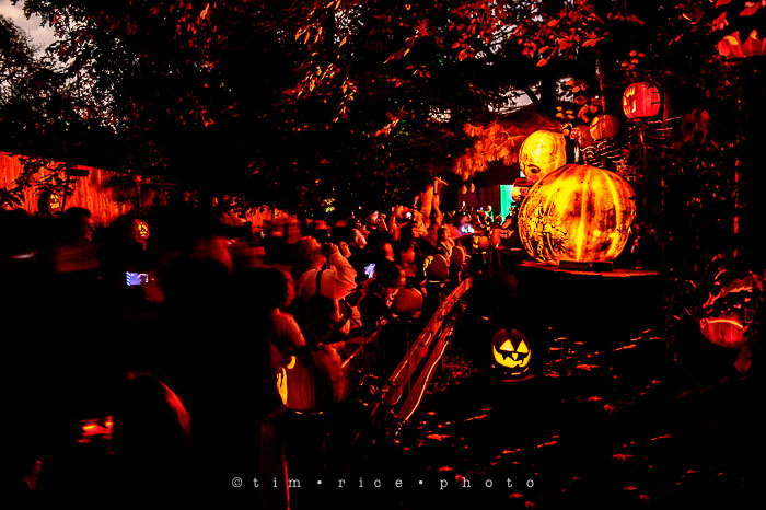 Yr7•013/365•2204 Jack O'Lantern Spectacular October 13, 2015