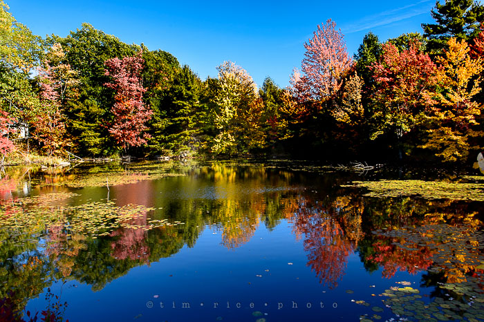 Yr7•014-365•2203•New England Fall