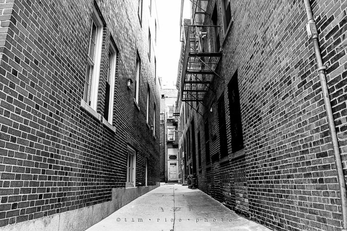 Yr7•015-365•2192•Crossed Path