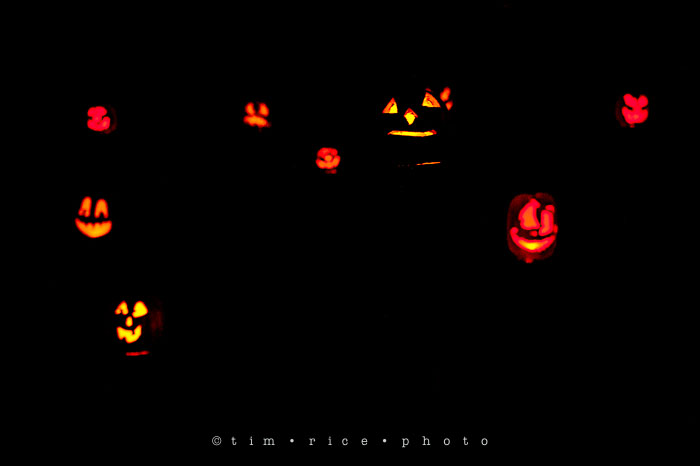 Yr7•015-365•2204•Jack O'Lantern Spectacular