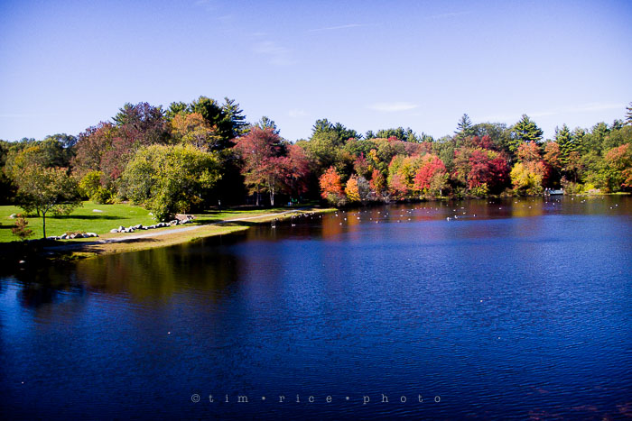 Yr7•015-365•2205•Church on Rabbit Hill
