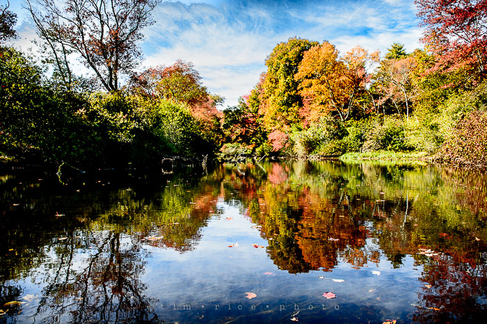 Yr7•015/365•2206 Fall on Charles October 15, 2015