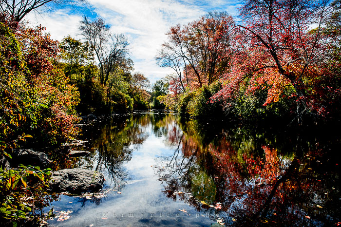 Yr7•015-365•2206•Fall on Charles
