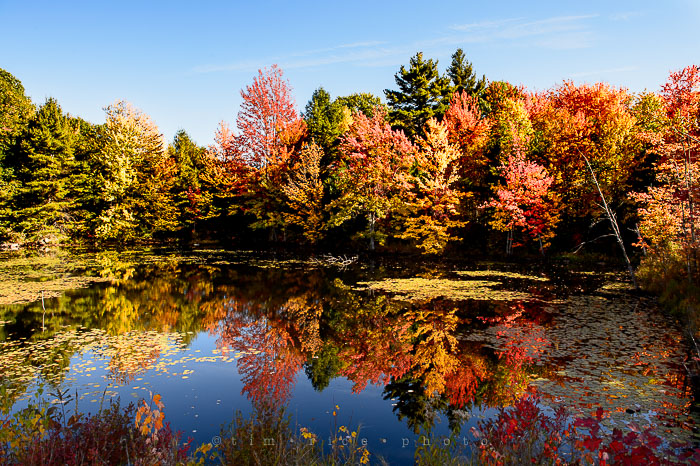 Yr7•016-365•2203•New England Fall