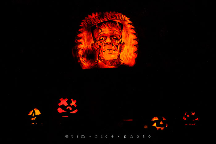 Yr7•016-365•2204•Jack O'Lantern Spectacular
