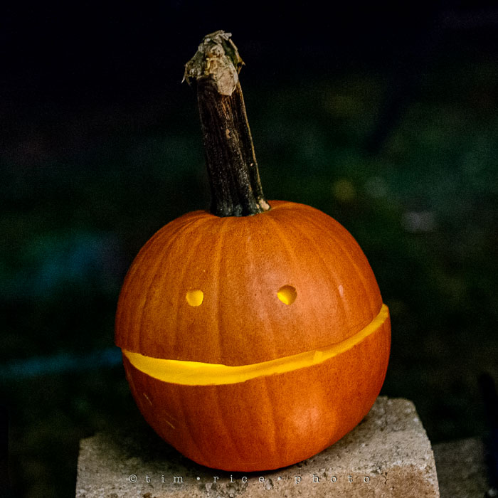 Yr7•018/365•2209 Simple Jack October 18, 2015