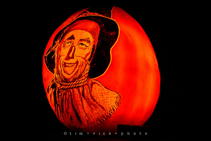 Yr7•023-365•2204•Jack O'Lantern Spectacular