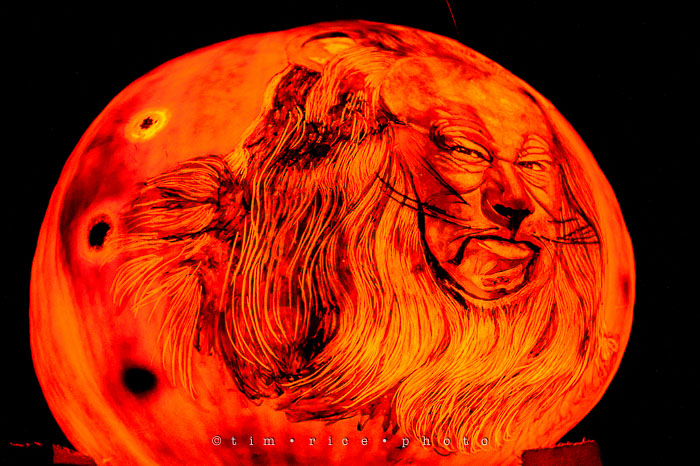 Yr7•024-365•2204•Jack O'Lantern Spectacular