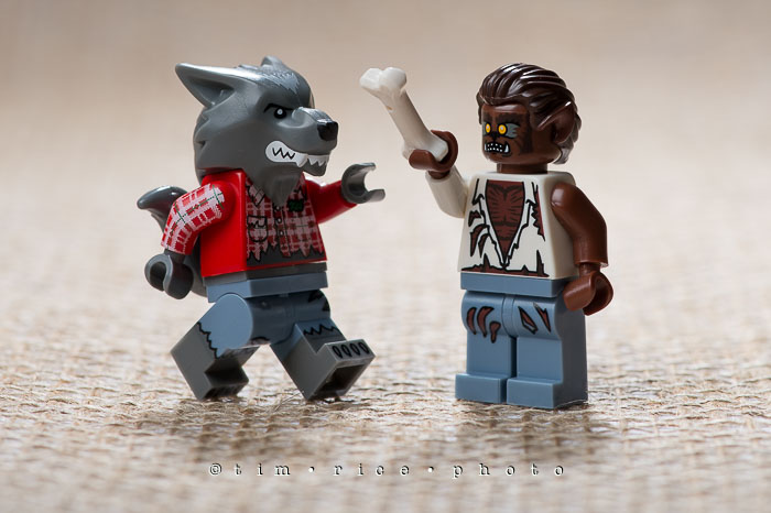 Yr7•024/365•2215 Fetch October 24, 2015