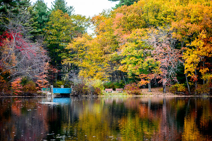 Yr7•027-365•2218•Water Colors