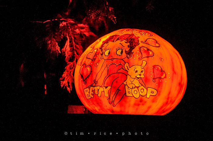 Yr7•029-365•2204•Jack O'Lantern Spectacular