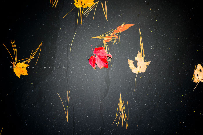 Yr7•030-365•2218•Water Colors