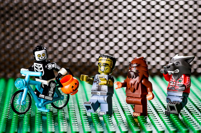 Yr7•030/365•2221 Monster Chase October 30, 2015