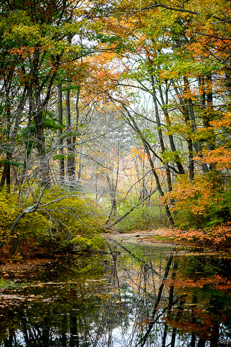 Yr7•031-365•2218•Water Colors