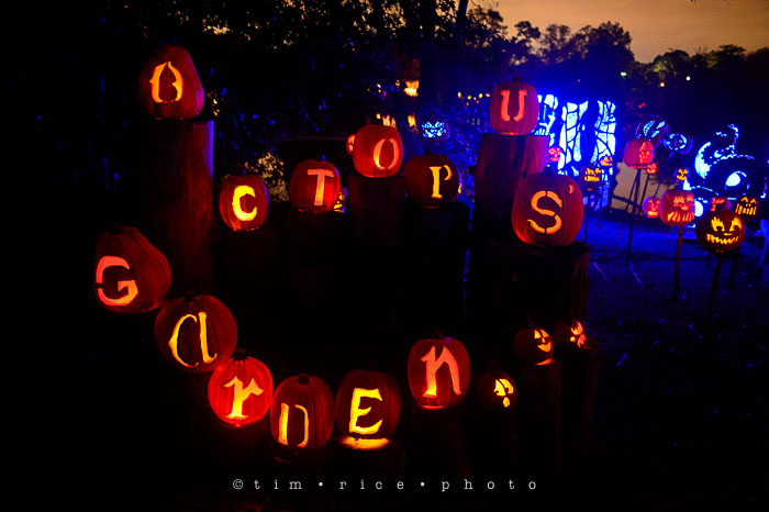 Yr7•032-365•2204•Jack O'Lantern Spectacular