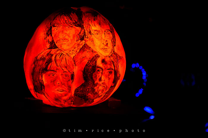 Yr7•033-365•2204•Jack O'Lantern Spectacular