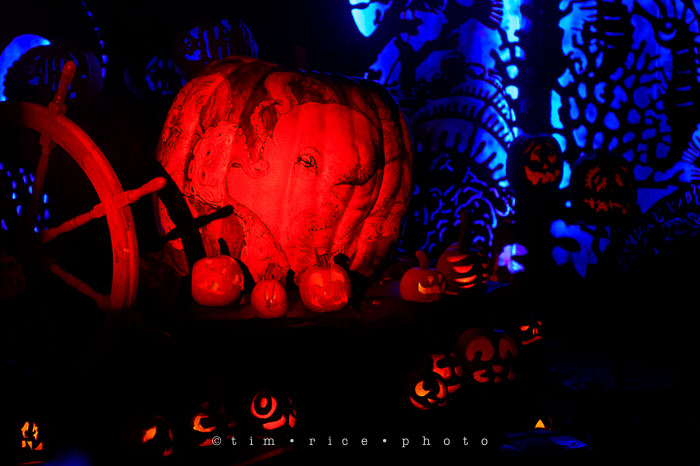 Yr7•034-365•2204•Jack O'Lantern Spectacular