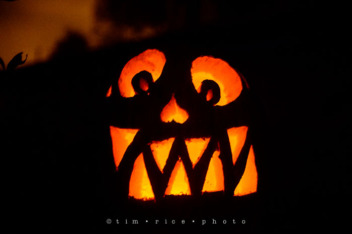 Yr7•035-365•2204•Jack O'Lantern Spectacular