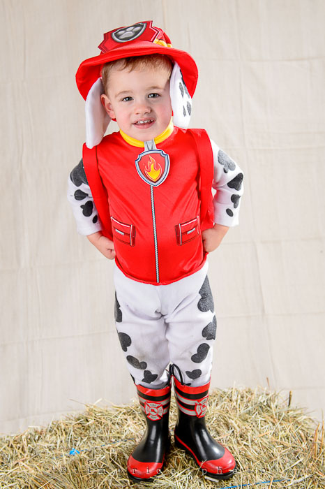 Yr7•035-365•2220•Trick or Treat 2015