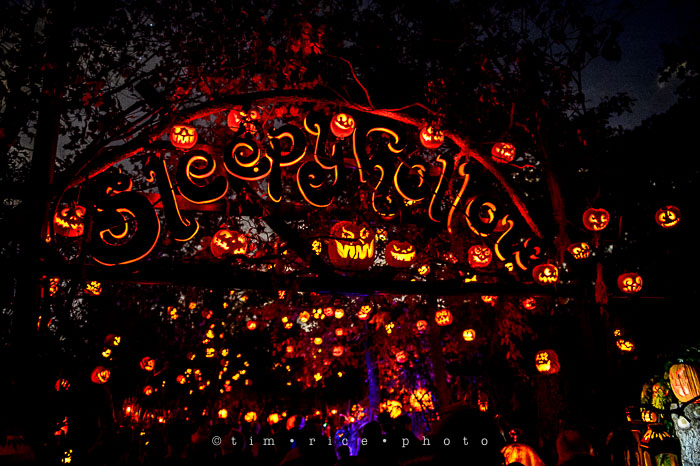 Yr7•038-365•2204•Jack O'Lantern Spectacular