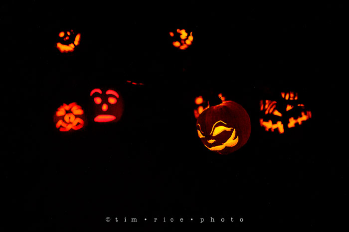 Yr7•040-365•2204•Jack O'Lantern Spectacular