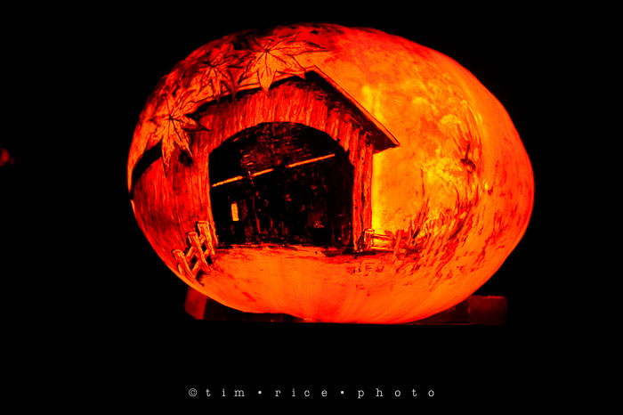 Yr7•041-365•2204•Jack O'Lantern Spectacular