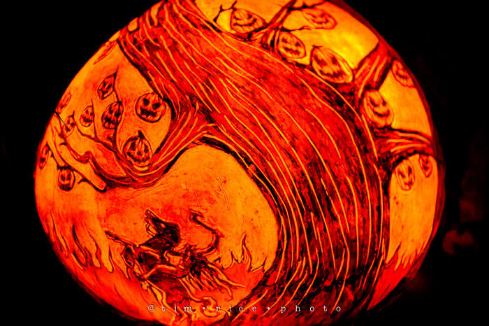 Yr7•044-365•2204•Jack O'Lantern Spectacular