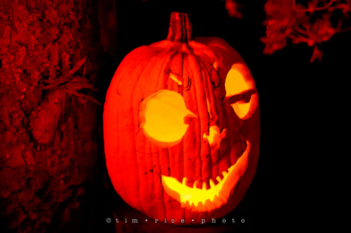 Yr7•046-365•2204•Jack O'Lantern Spectacular
