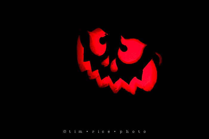Yr7•047-365•2204•Jack O'Lantern Spectacular