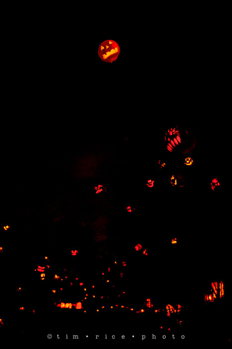 Yr7•048-365•2204•Jack O'Lantern Spectacular