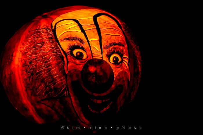 Yr7•054-365•2204•Jack O'Lantern Spectacular