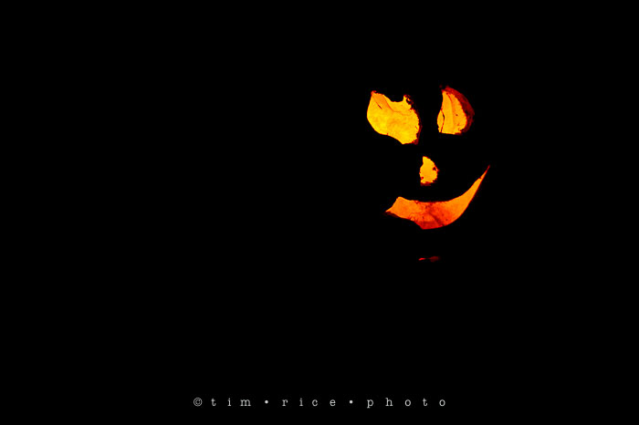 Yr7•055-365•2204•Jack O'Lantern Spectacular