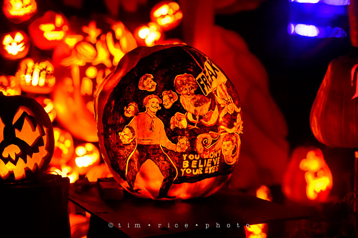 Yr7•057-365•2204•Jack O'Lantern Spectacular