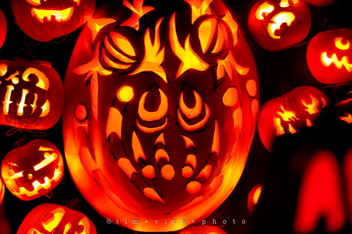 Yr7•058-365•2204•Jack O'Lantern Spectacular