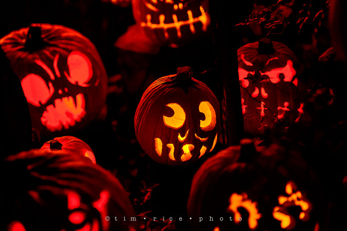 Yr7•059-365•2204•Jack O'Lantern Spectacular
