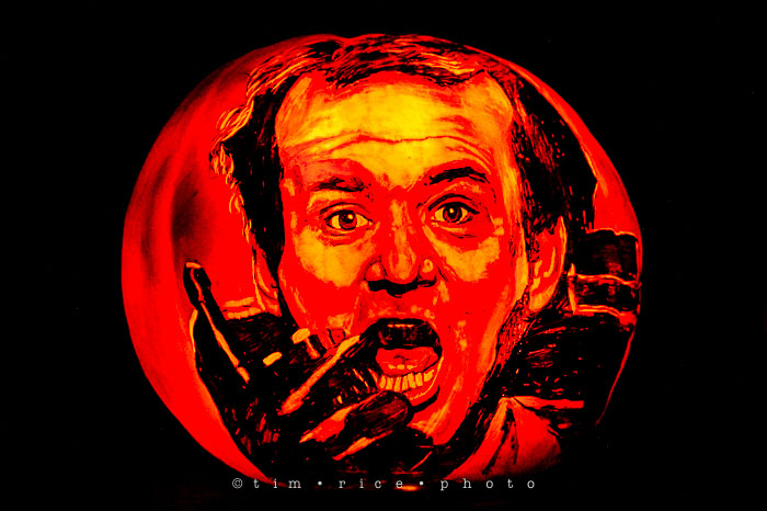 Yr7•066-365•2204•Jack O'Lantern Spectacular