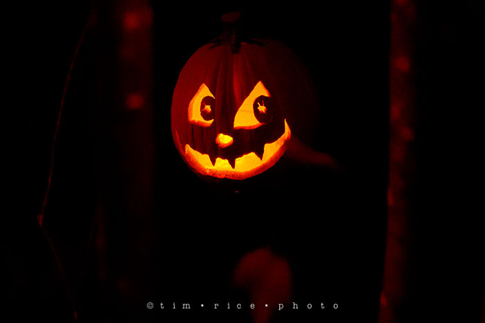 Yr7•068-365•2204•Jack O'Lantern Spectacular