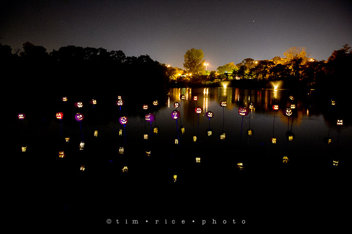 Yr7•069-365•2204•Jack O'Lantern Spectacular