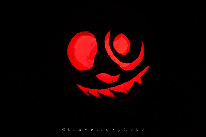 Yr7•074-365•2204•Jack O'Lantern Spectacular