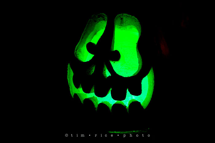 Yr7•079-365•2204•Jack O'Lantern Spectacular