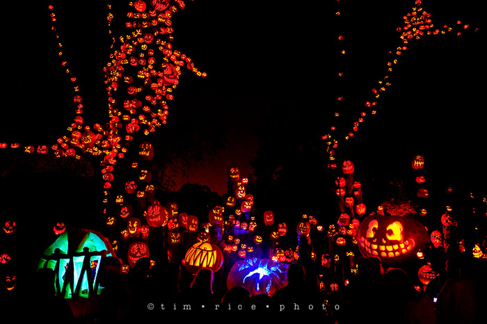 Yr7•082-365•2204•Jack O'Lantern Spectacular