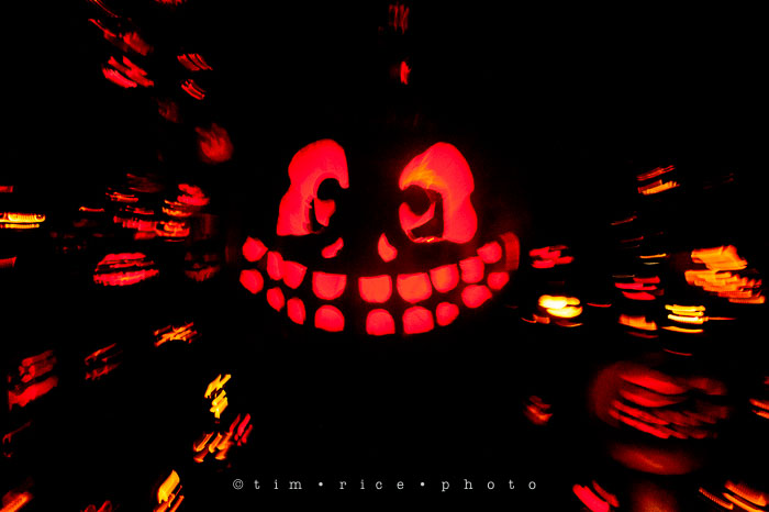 Yr7•085-365•2204•Jack O'Lantern Spectacular