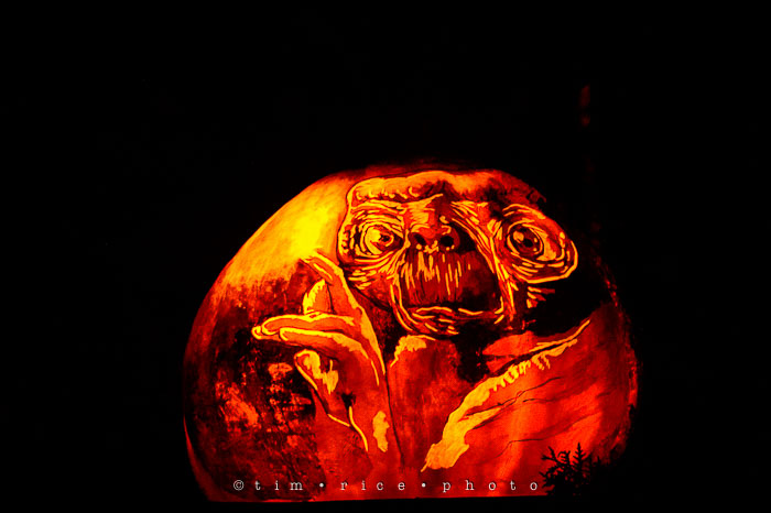 Yr7•087-365•2204•Jack O'Lantern Spectacular
