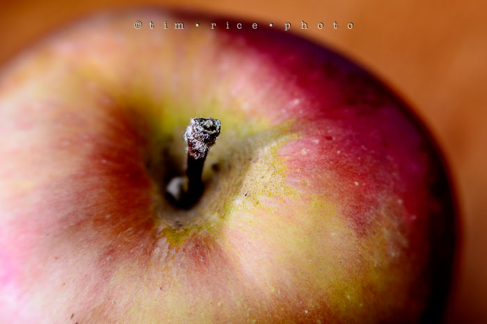 Yr7•043/365•2234 An Apple November 12, 2015