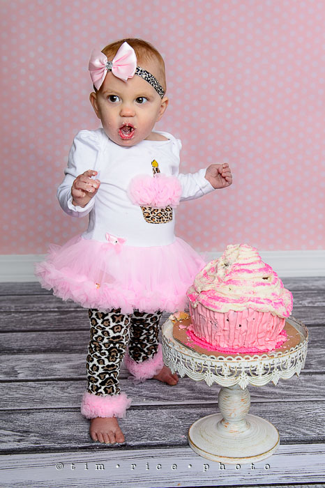 Yr7•055/365•2246 Zoey v. Cake November 24, 2015