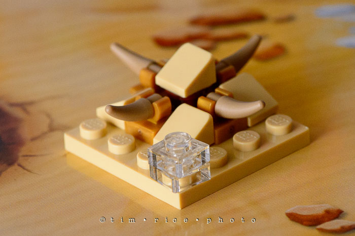 Yr7•063-365•2254•Misfit Friends-2