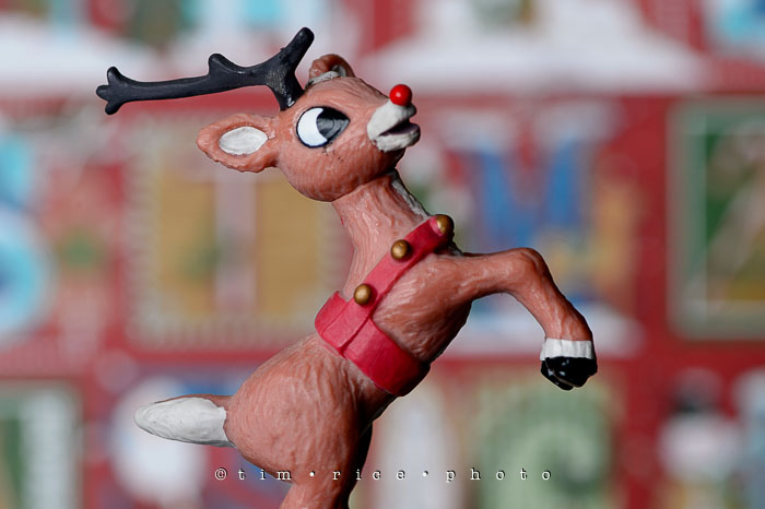 Yr7•064-365•2254•Misfit Friends