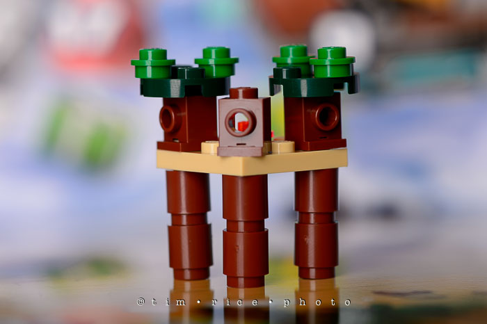 Yr7•067-365•2258•The Milford Santa Parade-3