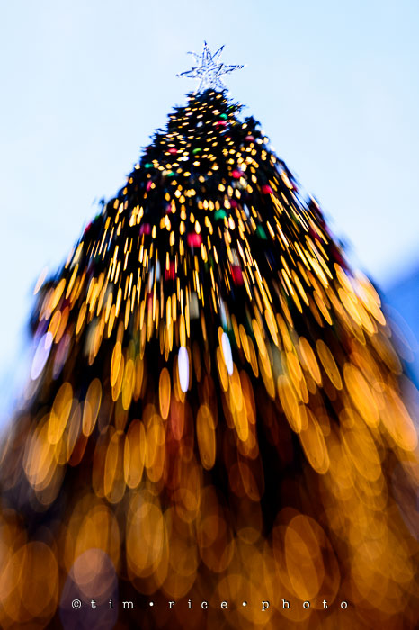 Yr7•082-365•2271•The Hosts