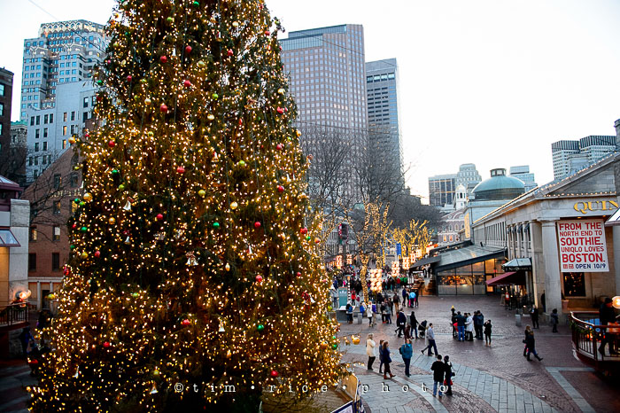 Yr7•084-365•2271•The Hosts